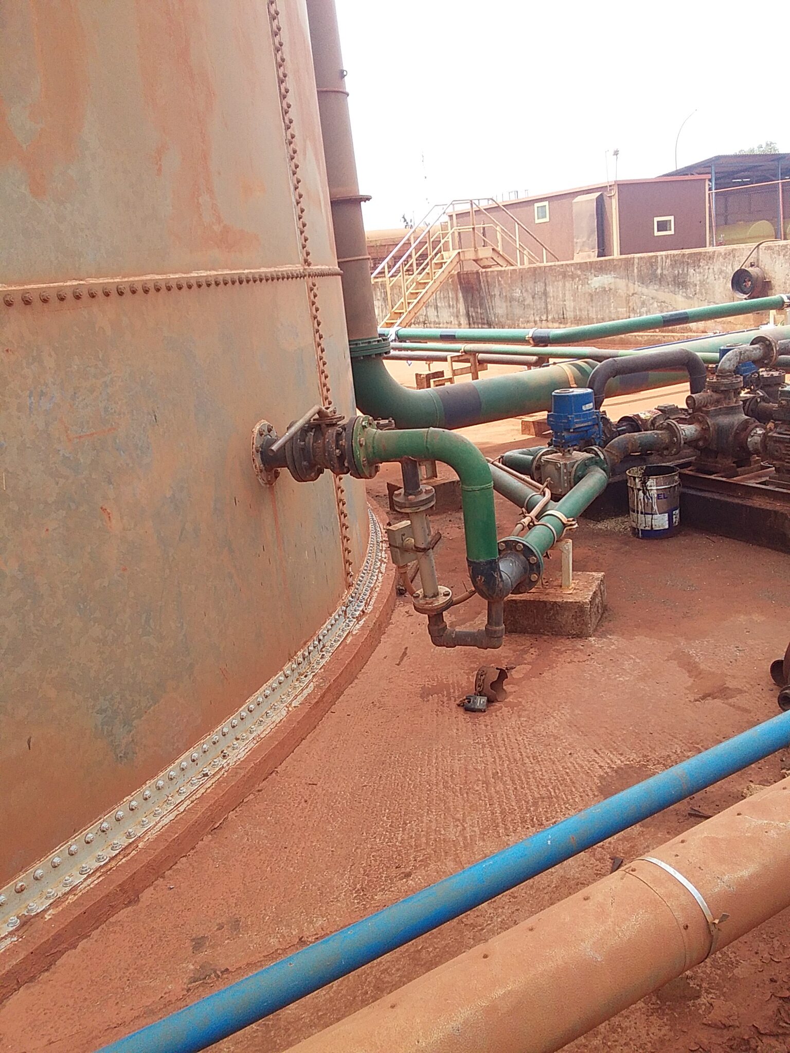 20210526 142653 Rotated